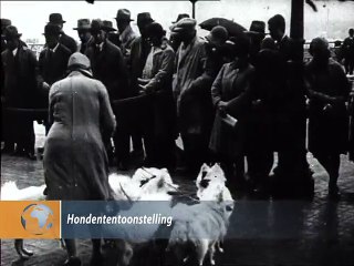 Hondententoonstelling - 1930