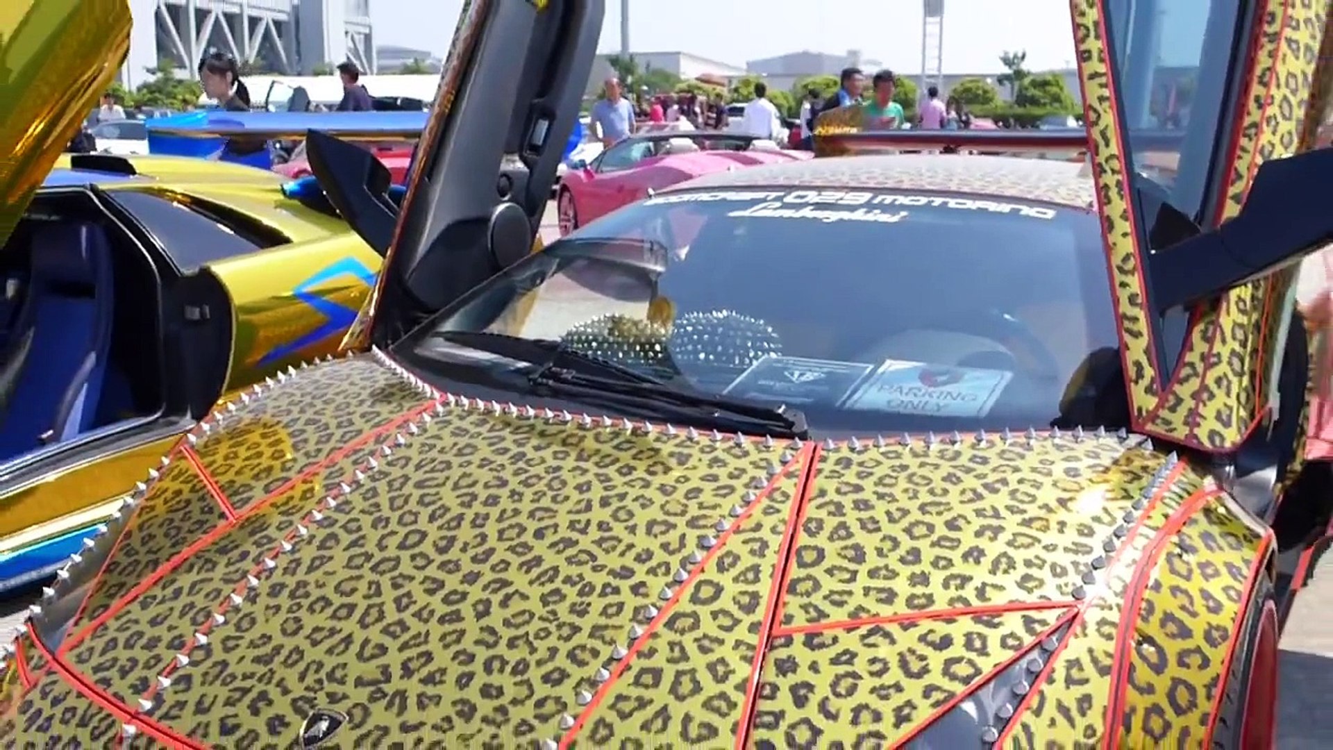 ⁣Leopard Print Lamborghini
