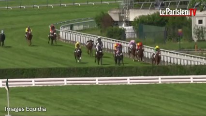 Hippisme : Découvrez le Rail-Ditch and Fence, l’obstacle le plus haut d’Auteuil