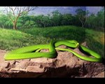 Las 10 serpientes más venenosas del mundo