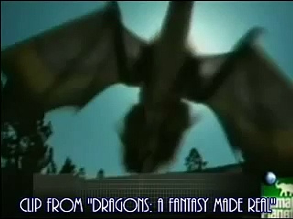 Trex vs Dragon