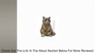 Grasslands Road Raccoon Figurine Rain Gauge, 8-Inch, Gift Boxed Review