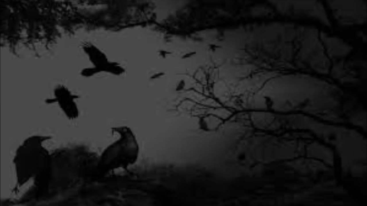 Raison d'Etre - In Absence Of Light