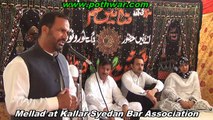 millad at kallar bar association