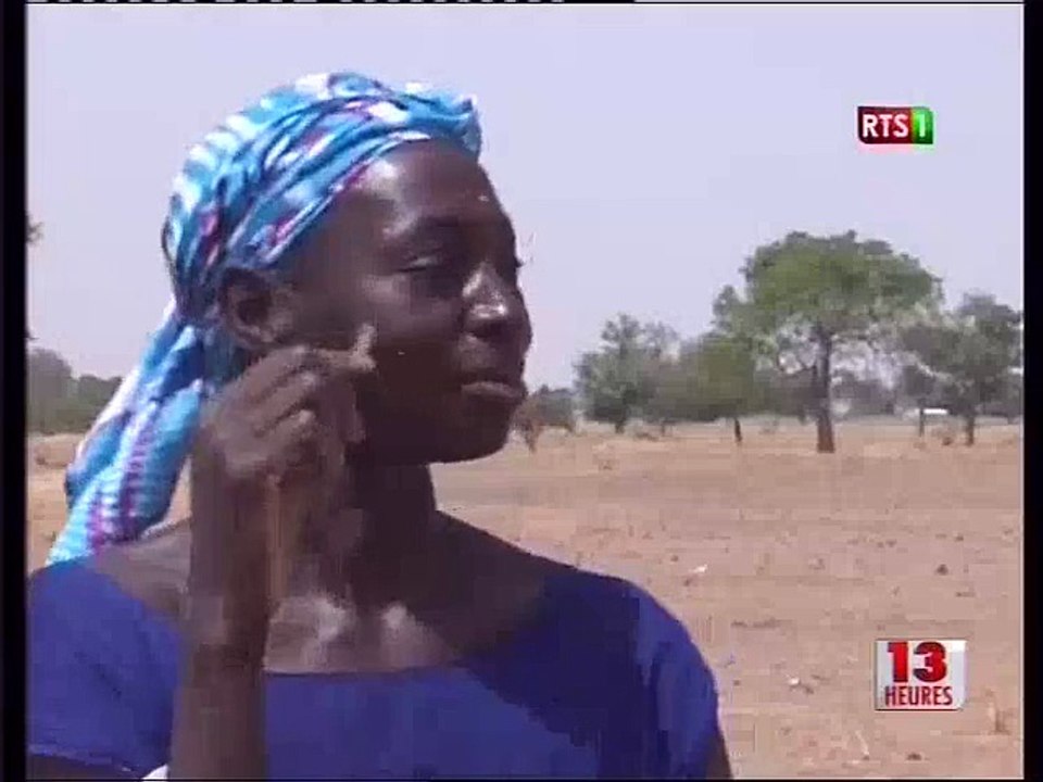 Agriculture: démarrage en milieu rural des travaux  champètres avnt l'hivernage