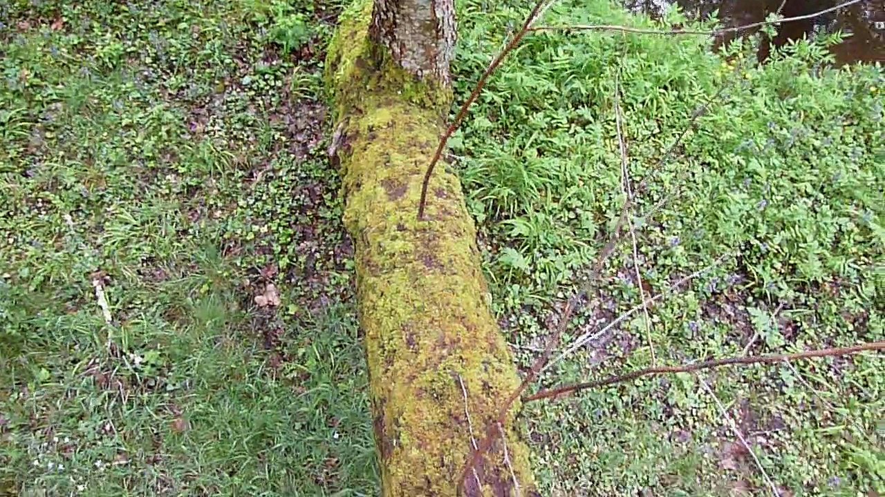 Vers le bout du monde - deuxième jour