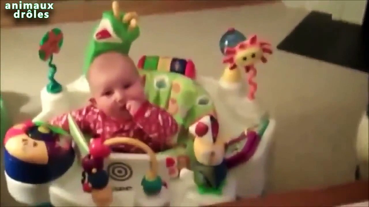 Chiens drôles Meilleure Garde animaux pour bébés Compilation 2014