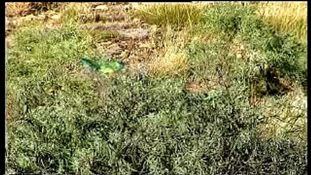 Lonely Planet: Travel Guide to Kakadu National Park, Australia