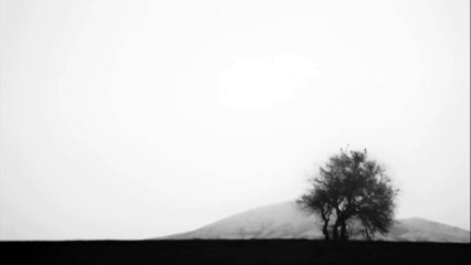 Dustin O'Halloran - An Ending, A Beginning