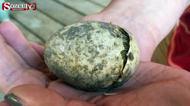 Bakın yumurtadan ne çıktı