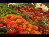 Napoli - Intolleranze alimentari, seminario di Alimentazione Consapevole (15.05.15)