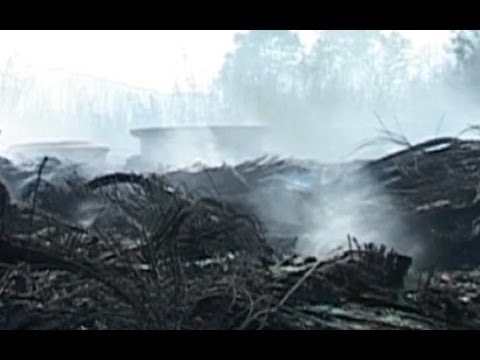 Napoli - Diossina, convegno al Policlinico Federico II (12.05.15)