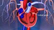 What are the symptoms of mitral valve regurgitation?