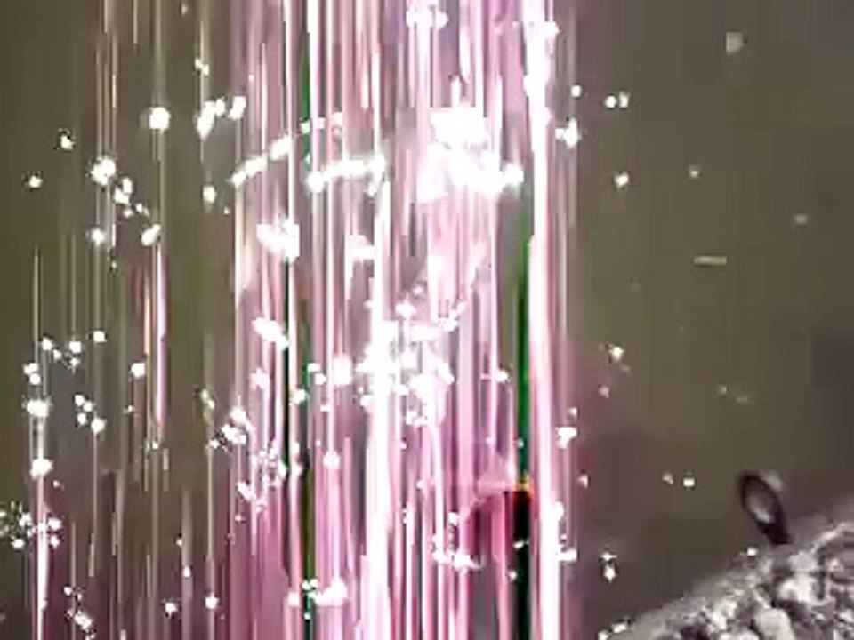 Pike Attacks and Eats Duckling