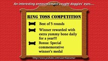 Amazing Funny Dog Tricks - Ring Toss Rehearsals