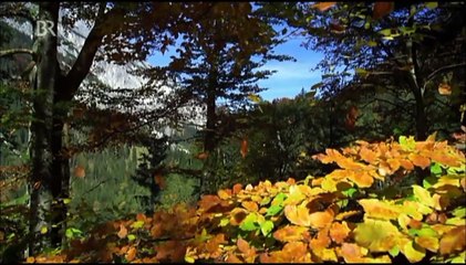 Wildes Deutschland: Die Berchtesgadener Alpen (3 von 3)