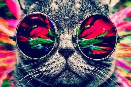 Tech Trance Mix [Dj Catan Track]