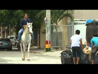 LITTLE CHAMP 05.22.13