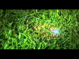 LITTLE CHAMP 04.30.13