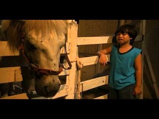 LITTLE CHAMP 04.19.13