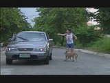 MMK KLASIKS : Lobo (2001)