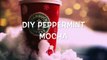 DIY Winter Starbucks Drinks at Home: 3 Easy Ways!