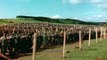 1945 German POWs near Nuremberg