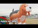 Dambuhalang hot air balloons dinayo sa Pampanga