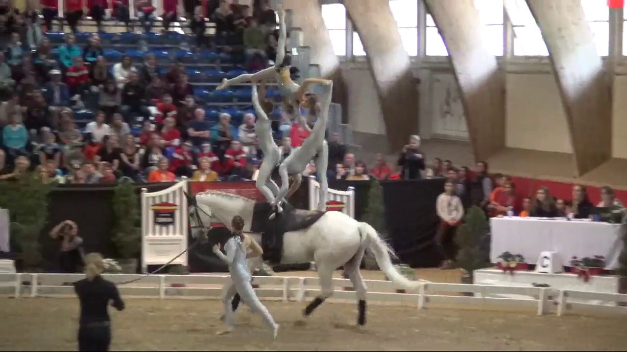 CVI Bern 2015 - 1. Rank Squad CVI3* - Team Lütisburg (SUI) - Freestyle2