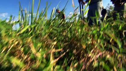 Jason Mraz - 30 Second PSA - The Nature Conservancy