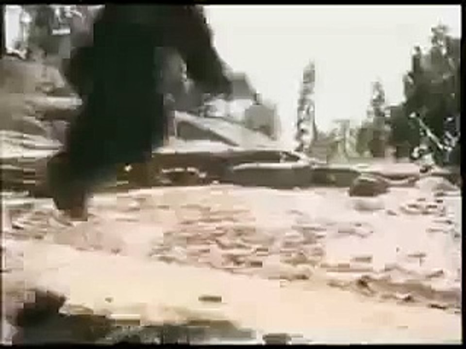 Bear vs Gorilla 2013 funny ALL  funny 2015