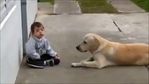 Perro cuidando a niño con Sindrome de Down- Impactante video