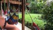 David Beckham ventures into Amazon rainforest -  Into The Unknown