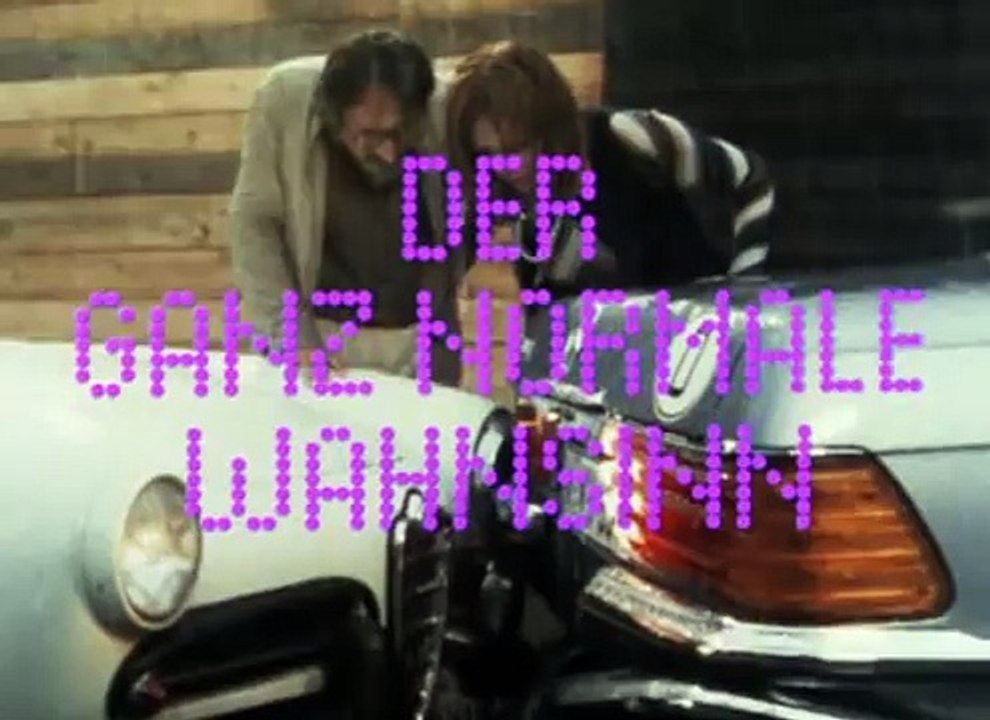 Der ganz normale Wahnsinn - Serie 1979