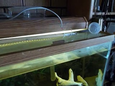 Solar Powered LEDs for a 55 gallon aquarium