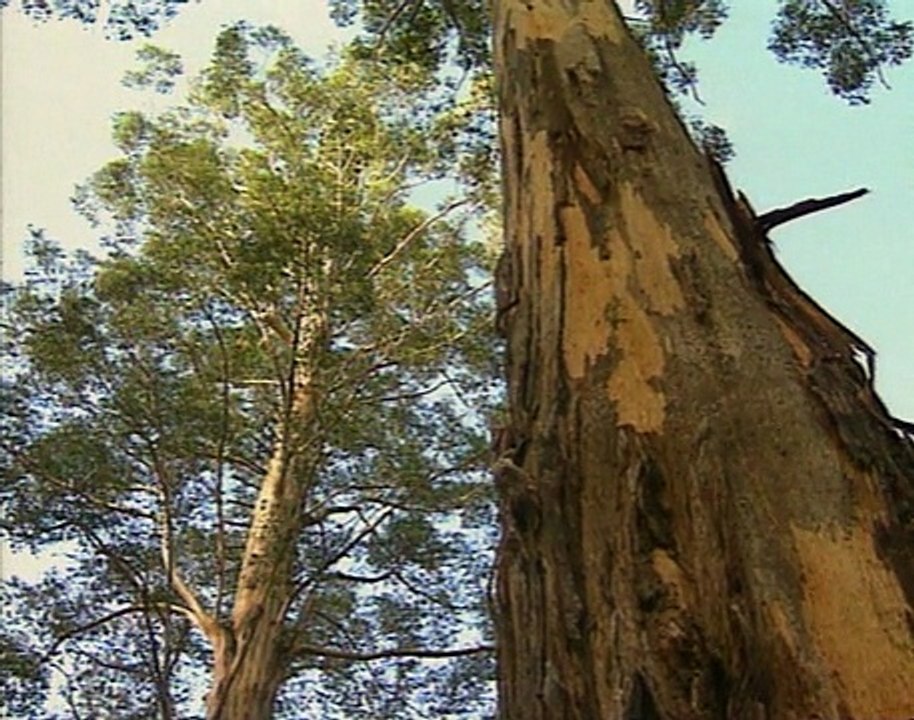 Australien (Teil 4) - Westaustralien