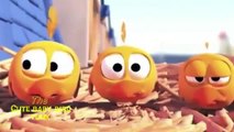 Angry Birds Singing Video - Angry Birds Game Cartoon | Funny Angry Birds Videos