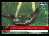 WATCH: Family in Benguet maintains virtual zoo