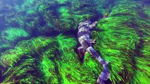 Spearfishing Sydney: Salty Sea Dogs Round 2 - Winter