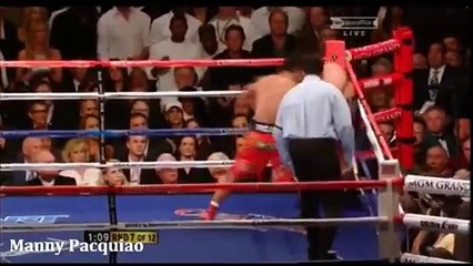 The World's Fastest Boxers 2C Quick Hands 2C Training & Fight Footage