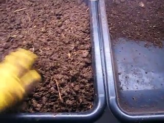 Vermicompost & Worm Harvesting