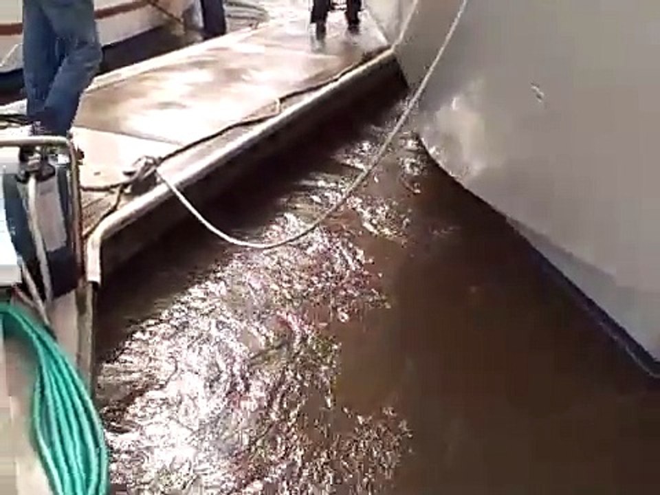 Tsunami hits Ventura Harbor California