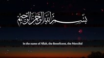113 - Surah Al-Falaq - Saad al Ghamdi  | سورة الفلق -‎۱۱٣‎