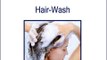 Natural Home Remedies for Hair loss In Hindi  (बाल झड़ने के आसान घरेलू उपाय)