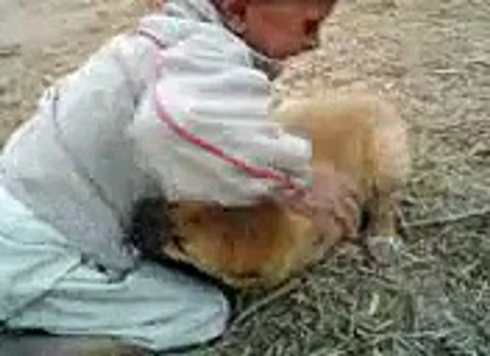 DOG and BOY