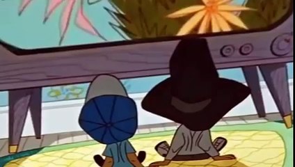 Roadrunner and Coyote Cartoons