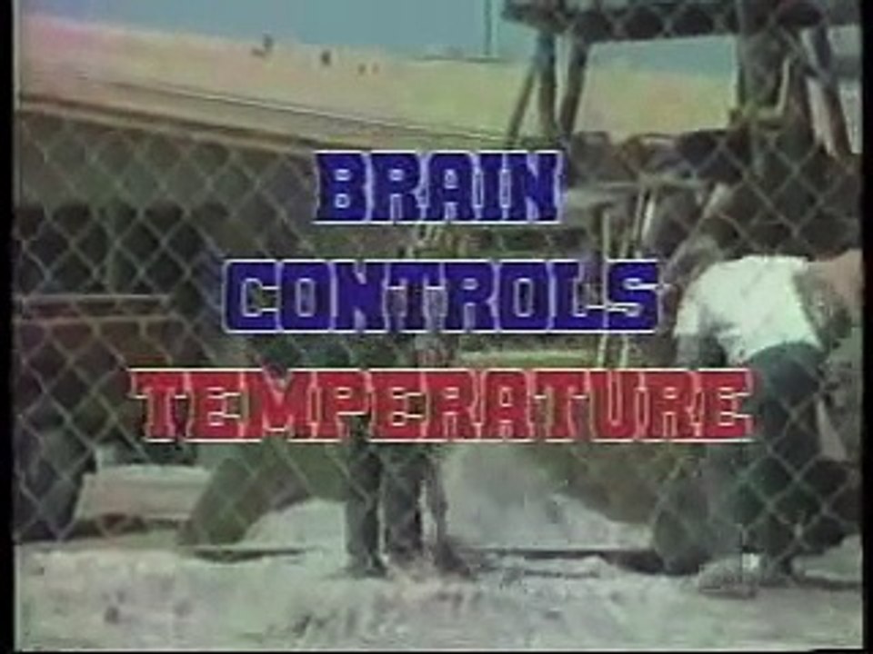 Heat Stress (Humorous Safety Training) from SafetyInstruction.com