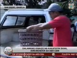 TV Patrol Cagayan Valley - January 14, 2015