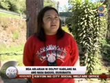 TV Patrol Northern Luzon - January 9, 2015