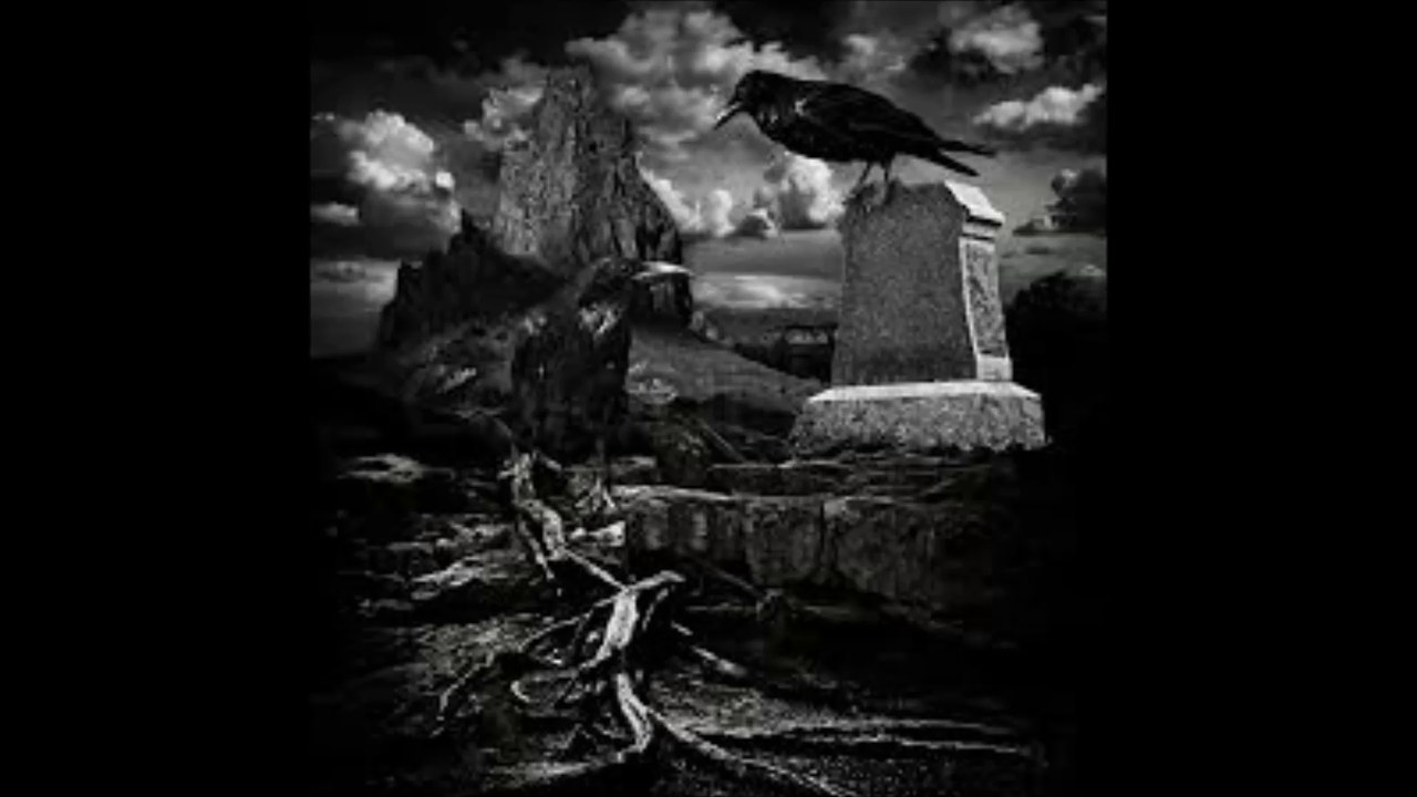 Desiderii Marginis - Black Feathers